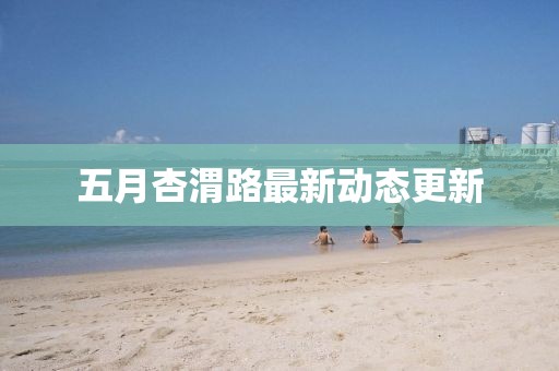 五月杏渭路最新动态更新