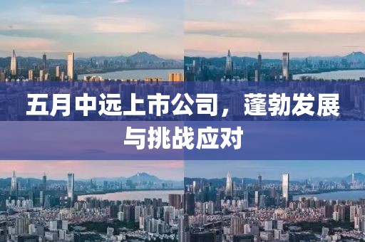 五月中远上市公司，蓬勃发展与挑战应对