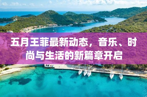五月王菲最新动态，音乐、时尚与生活的新篇章开启