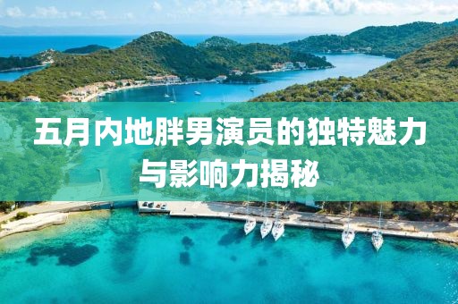 五月内地胖男演员的独特魅力与影响力揭秘