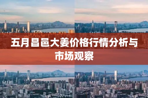五月昌邑大姜价格行情分析与市场观察