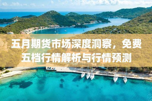 五月期货市场深度洞察，免费五档行情解析与行情预测