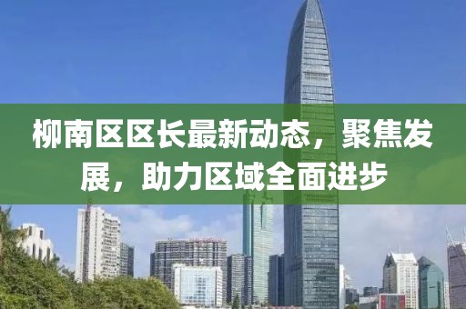 柳南区区长最新动态，聚焦发展，助力区域全面进步