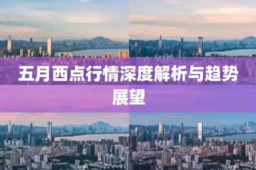 五月西点行情深度解析与趋势展望