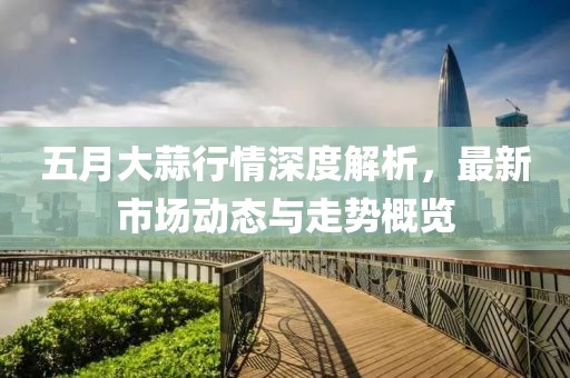 五月大蒜行情深度解析，最新市场动态与走势概览