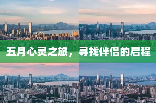 五月心灵之旅，寻找伴侣的启程