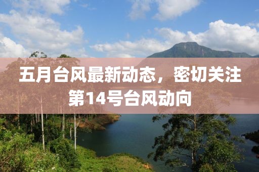 五月台风最新动态，密切关注第14号台风动向