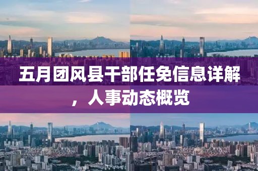 五月团风县干部任免信息详解，人事动态概览
