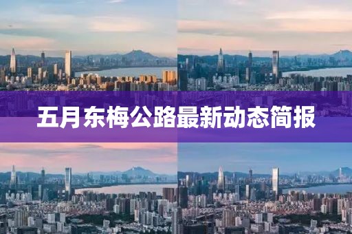 五月东梅公路最新动态简报