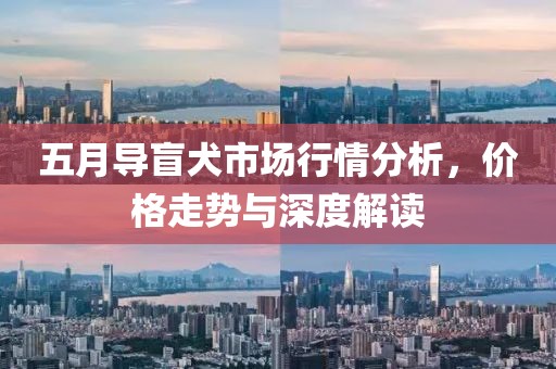 五月导盲犬市场行情分析，价格走势与深度解读