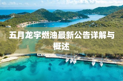 五月龙宇燃油最新公告详解与概述