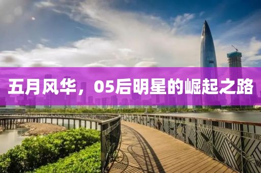 五月风华，05后明星的崛起之路