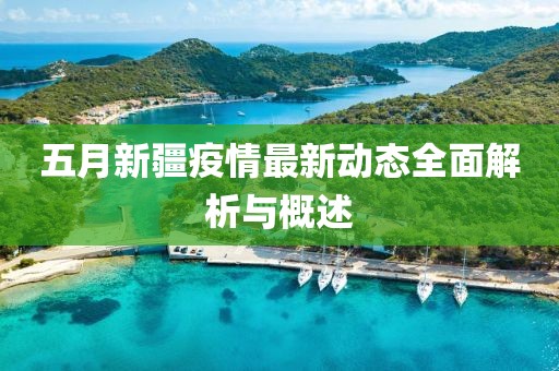五月新疆疫情最新动态全面解析与概述