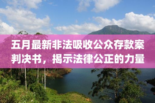 五月最新非法吸收公众存款案判决书，揭示法律公正的力量