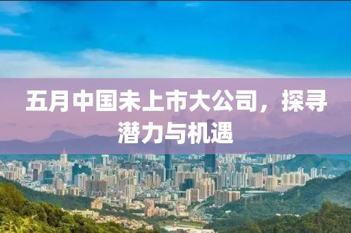 五月中国未上市大公司，探寻潜力与机遇