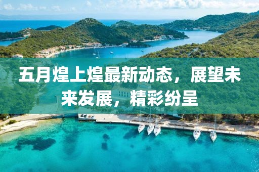 五月煌上煌最新动态，展望未来发展，精彩纷呈