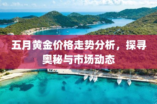 五月黄金价格走势分析，探寻奥秘与市场动态