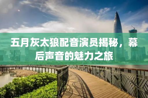 五月灰太狼配音演员揭秘，幕后声音的魅力之旅