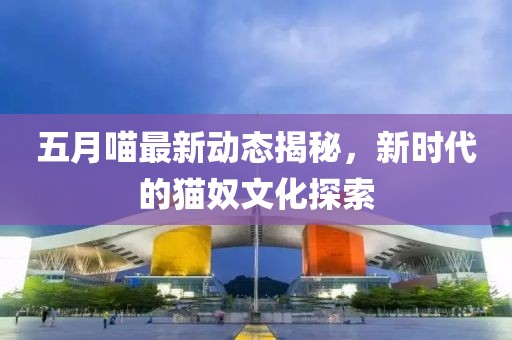 五月喵最新动态揭秘，新时代的猫奴文化探索