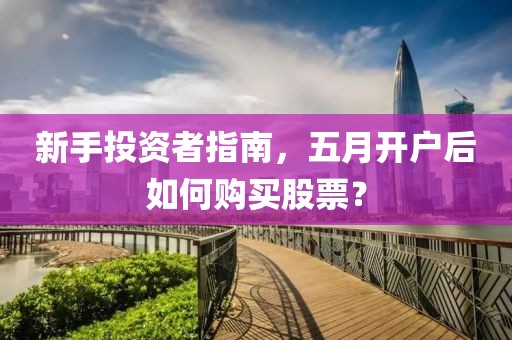 新手投资者指南，五月开户后如何购买股票？