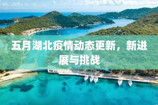 五月湖北疫情动态更新，新进展与挑战