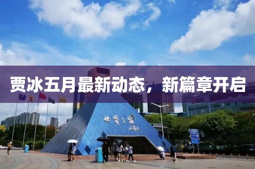 贾冰五月最新动态，新篇章开启