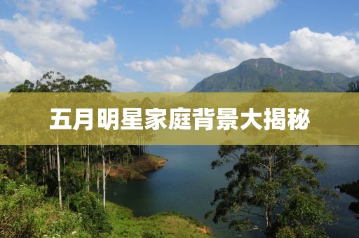 五月明星家庭背景大揭秘