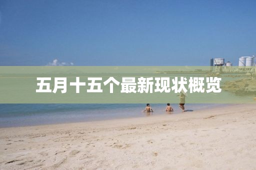 五月十五个最新现状概览