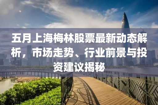 五月上海梅林股票最新动态解析，市场走势、行业前景与投资建议揭秘