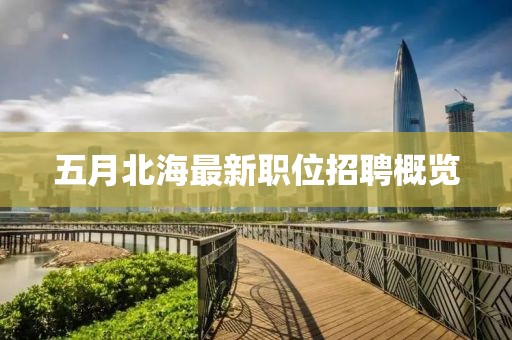 五月北海最新职位招聘概览