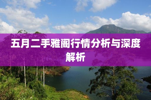 五月二手雅阁行情分析与深度解析