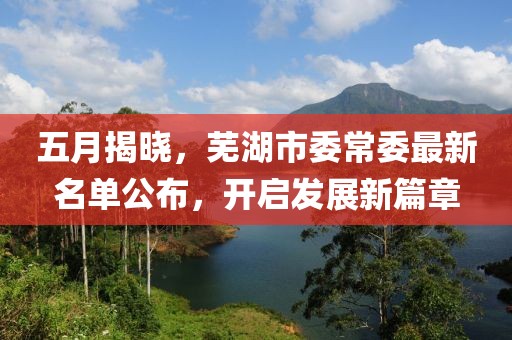 五月揭晓，芜湖市委常委最新名单公布，开启发展新篇章