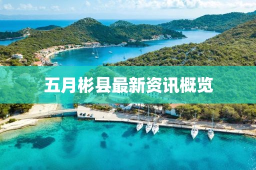 五月彬县最新资讯概览