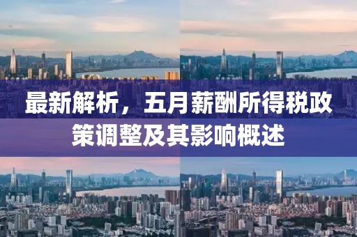 最新解析，五月薪酬所得税政策调整及其影响概述