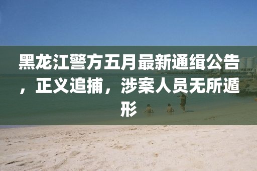 黑龙江警方五月最新通缉公告，正义追捕，涉案人员无所遁形