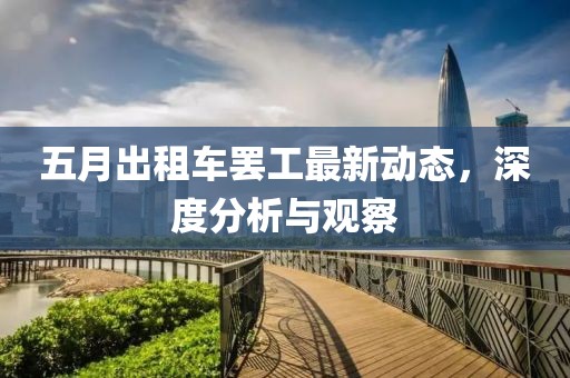 五月出租车罢工最新动态，深度分析与观察