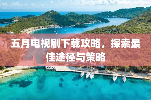 五月电视剧下载攻略，探索最佳途径与策略