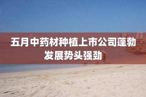 五月中药材种植上市公司蓬勃发展势头强劲