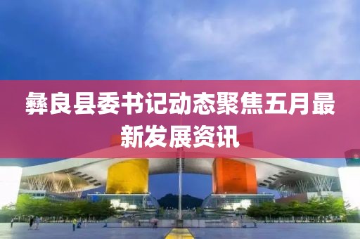 彝良县委书记动态聚焦五月最新发展资讯