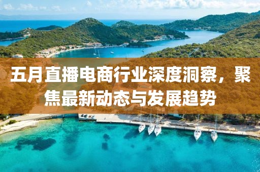 五月直播电商行业深度洞察，聚焦最新动态与发展趋势