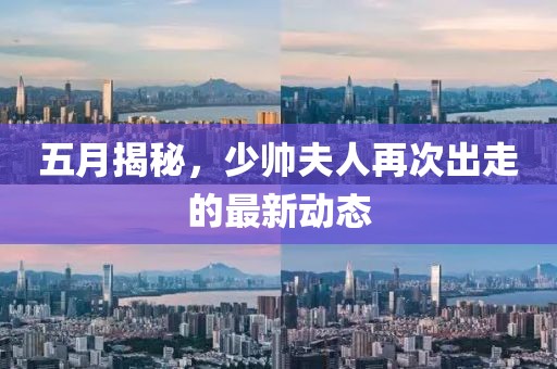 五月揭秘，少帅夫人再次出走的最新动态