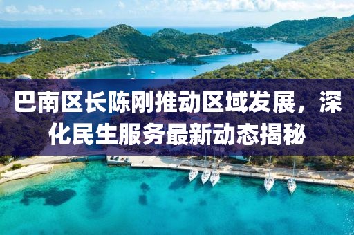巴南区长陈刚推动区域发展，深化民生服务最新动态揭秘
