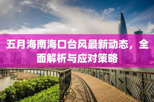 五月海南海口台风最新动态，全面解析与应对策略