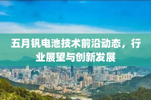 五月钒电池技术前沿动态，行业展望与创新发展