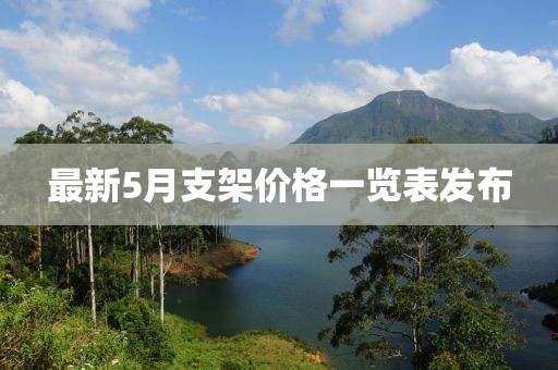 最新5月支架价格一览表发布