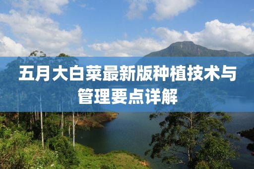 五月大白菜最新版种植技术与管理要点详解