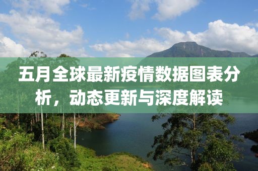 五月全球最新疫情数据图表分析，动态更新与深度解读
