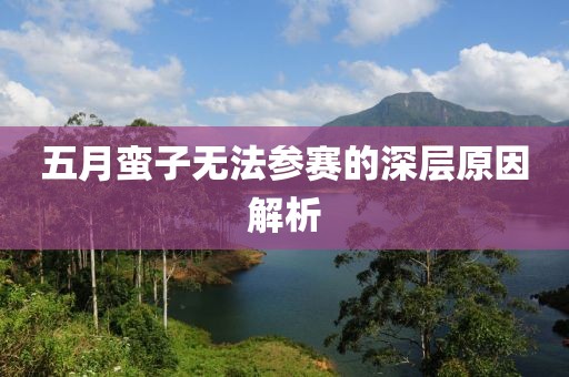 五月蛮子无法参赛的深层原因解析