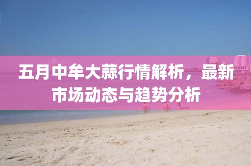 五月中牟大蒜行情解析，最新市场动态与趋势分析