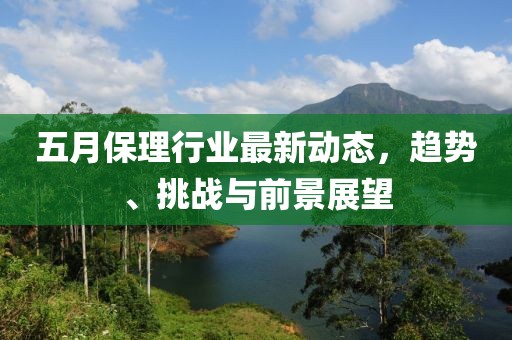 五月保理行业最新动态，趋势、挑战与前景展望